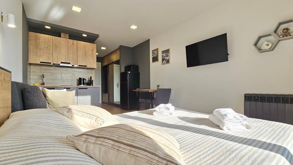 Bed, TV and multimedia, Kitchen or kitchenette, Photo of the whole room, Bedroom, internet, internet