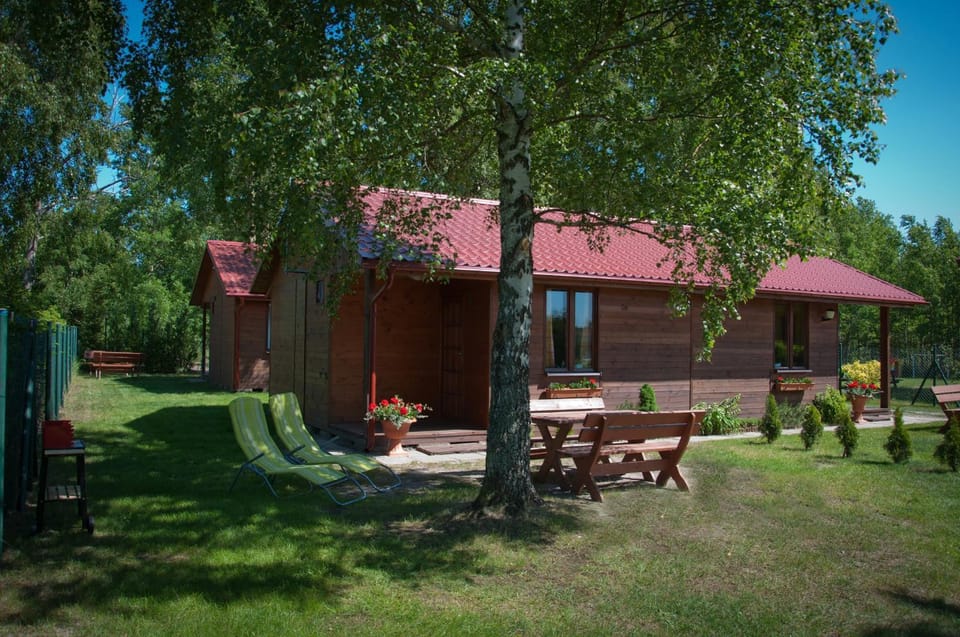 Property building, Patio, Garden, Garden view