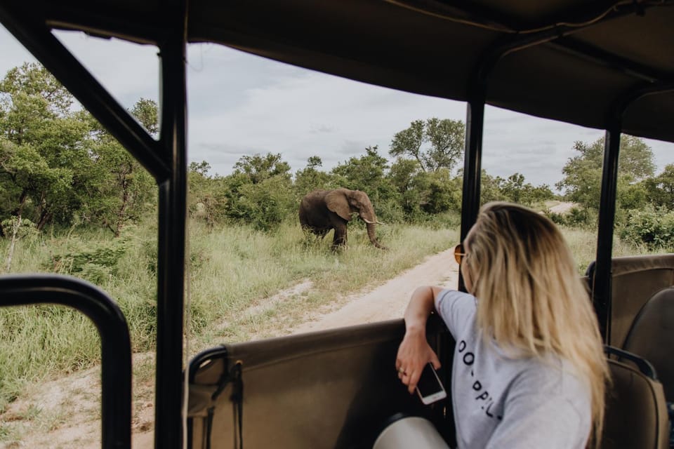 Day, Activities, Activities, View (from property/room), Animals