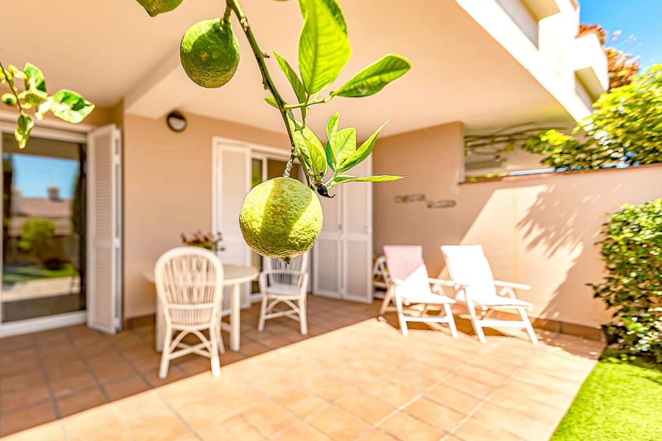 Garden, Balcony/Terrace