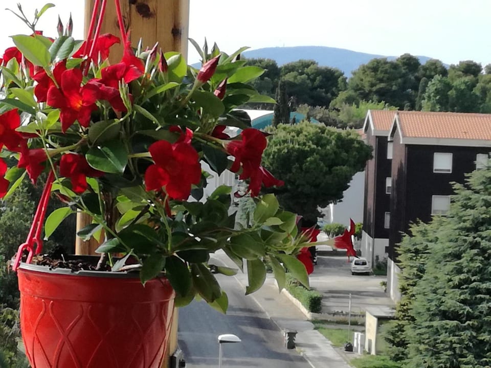 Nel blu dipinto di blu Apartment in Porto Recanati