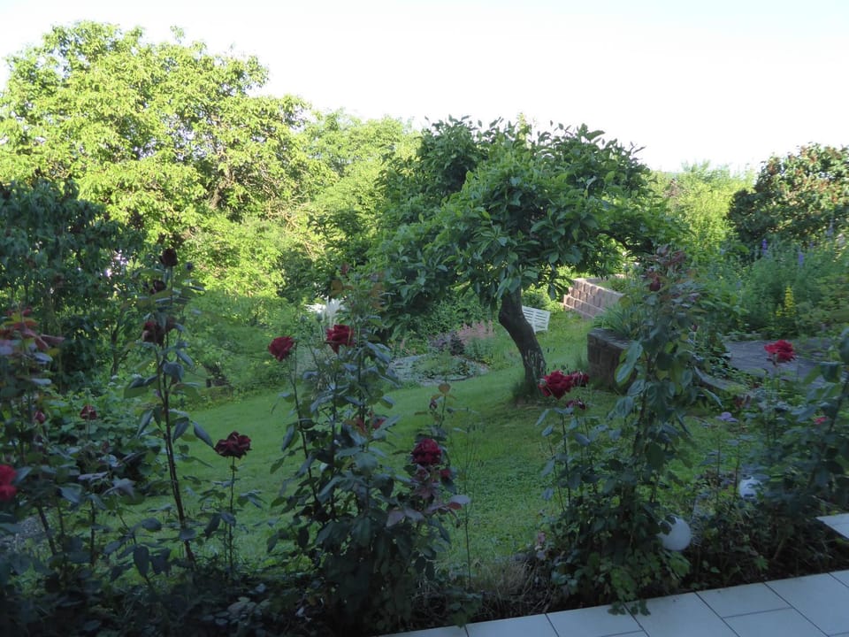 Garden, Garden view