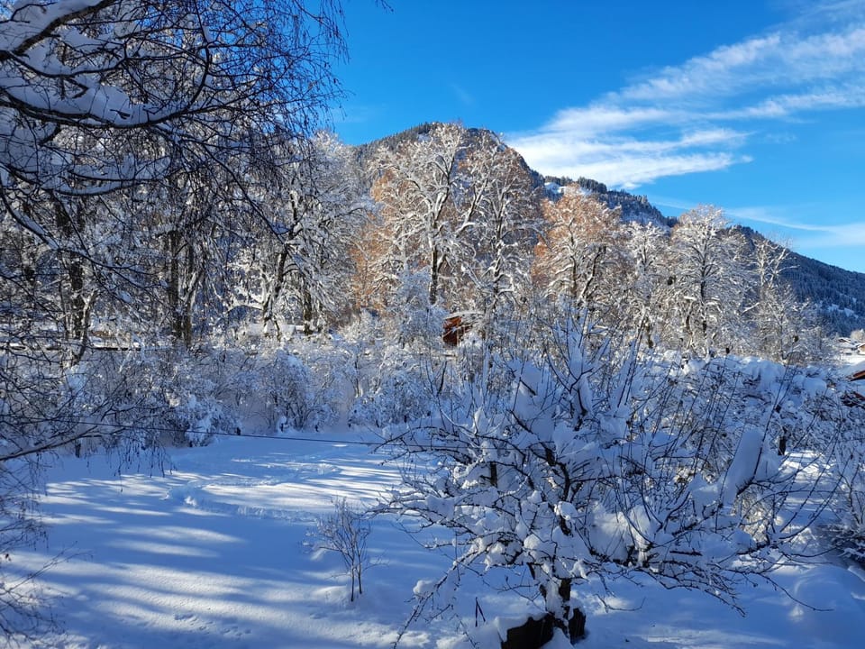Natural landscape, Winter, Balcony/Terrace, Garden view, Mountain view