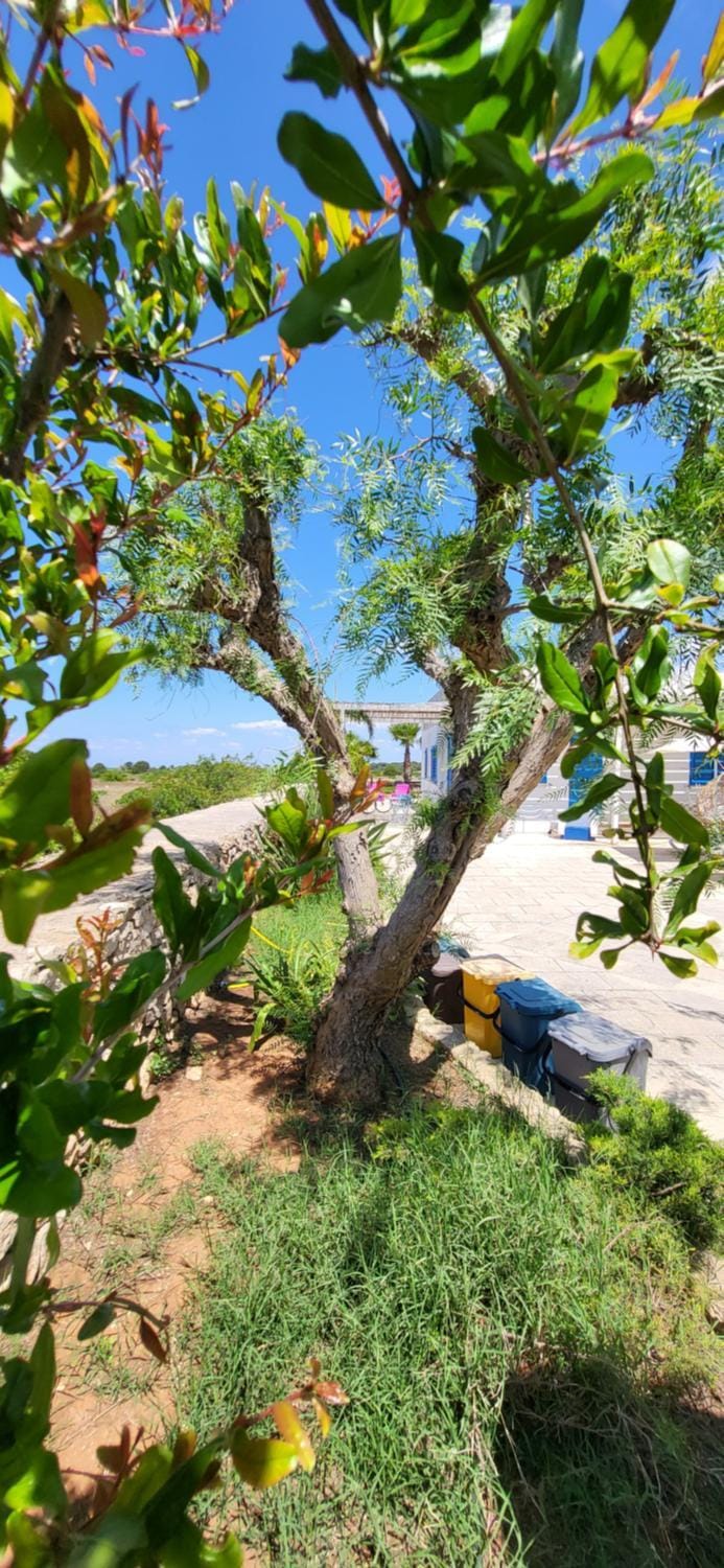 Ville Torre del Pizzo Villa in Apulia