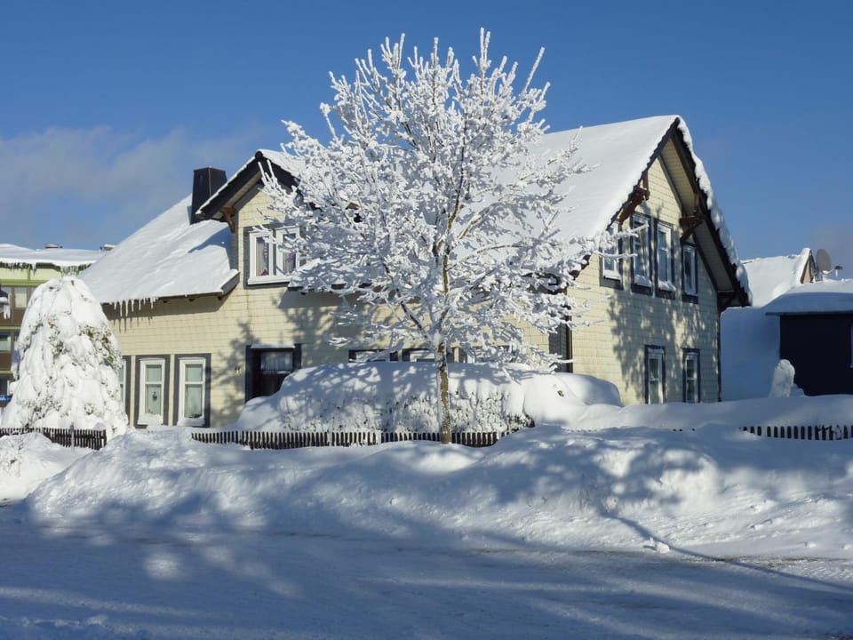 Property building, Winter