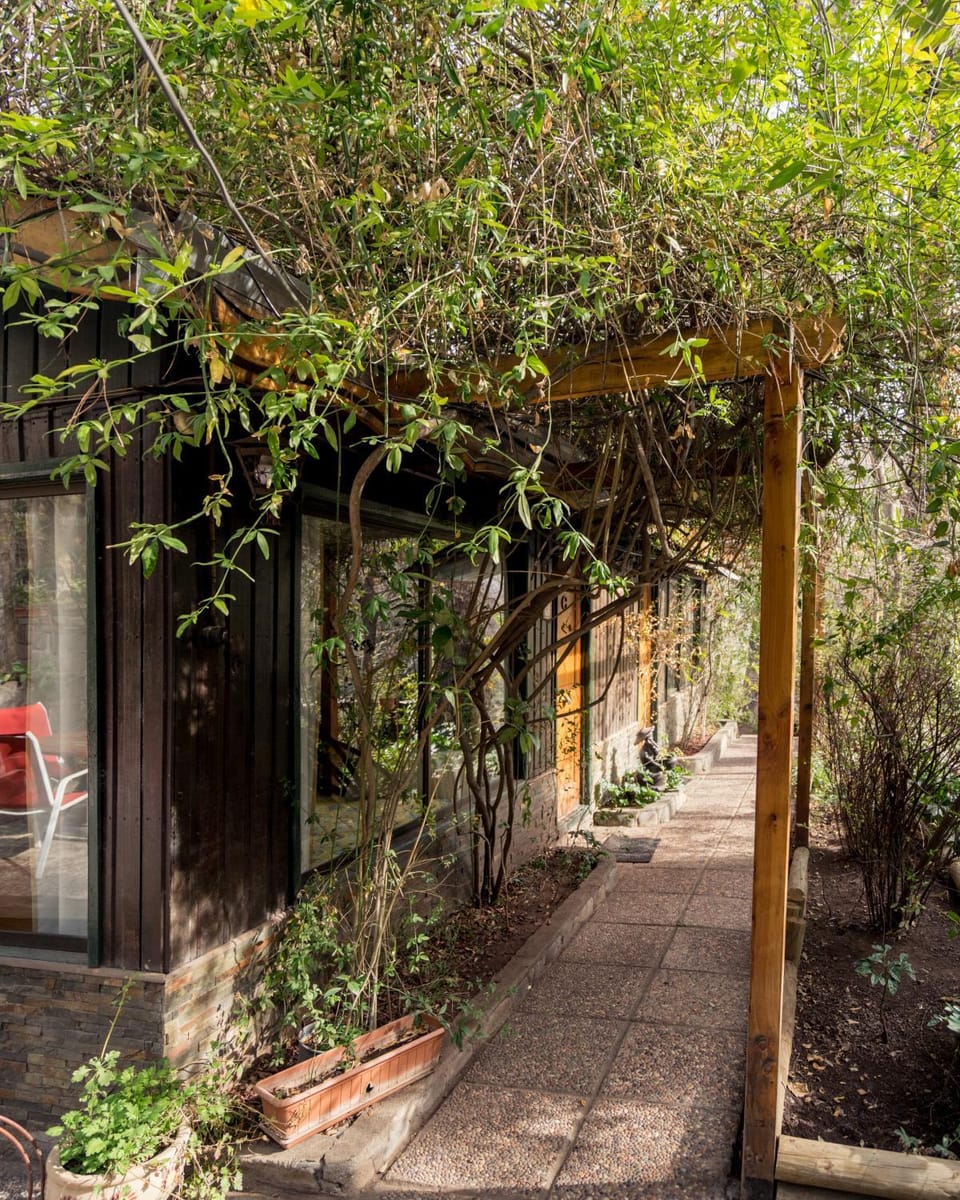 Garden view