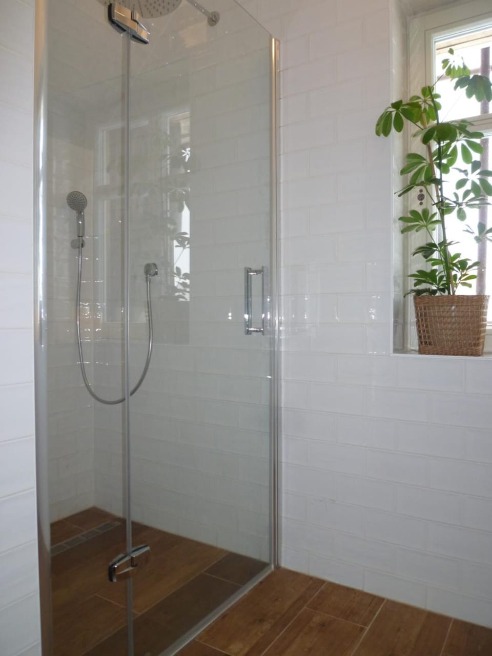 Olivia House House in Saxony