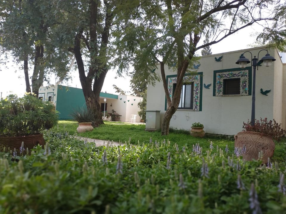 Property building, Garden, Garden view