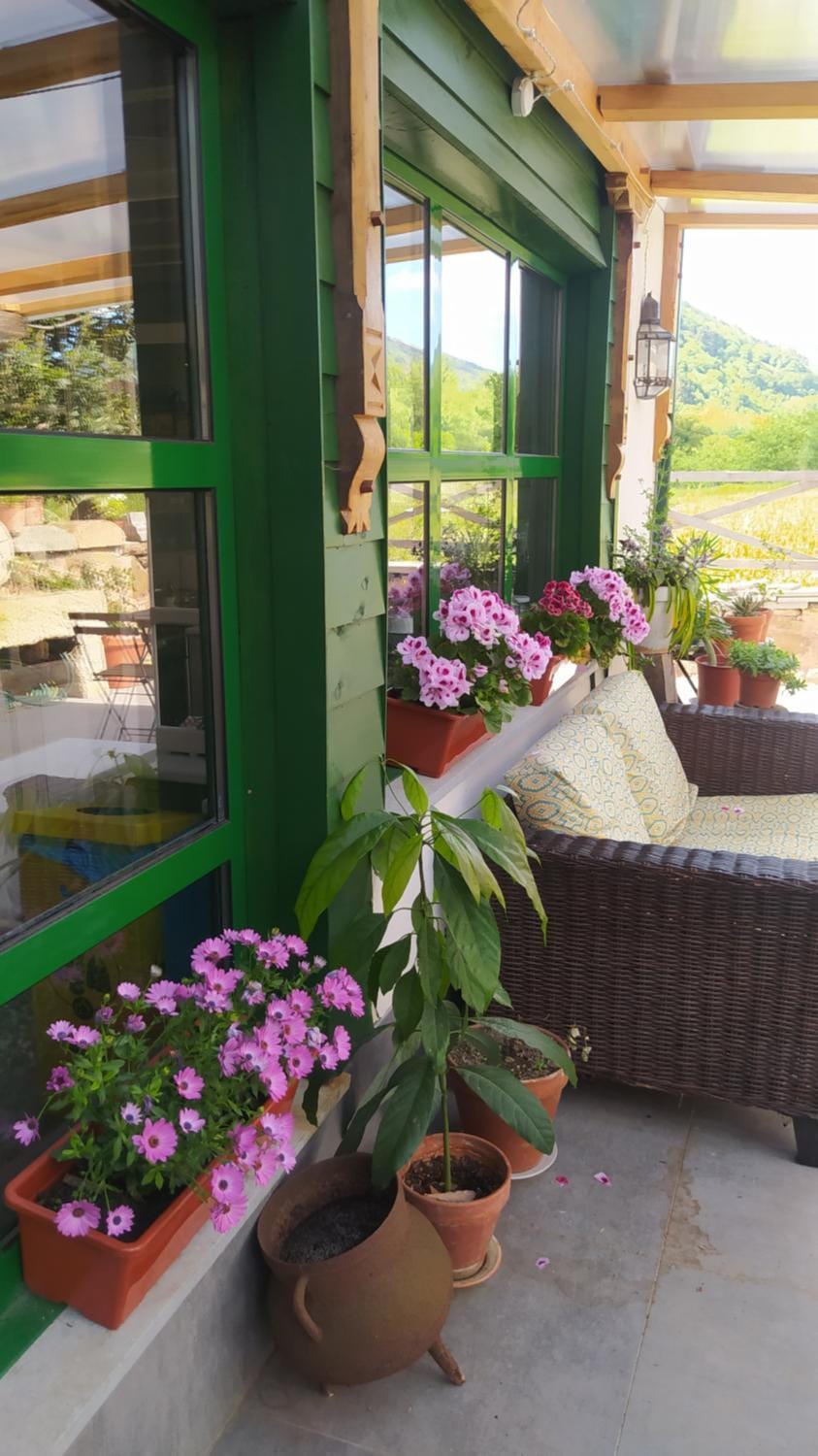 Property building, Patio, Off site, People, Natural landscape, Dining area, Hiking, Hiking, Area and facilities, Entertainment, Entertainment, group of guests, Family, Inner courtyard view