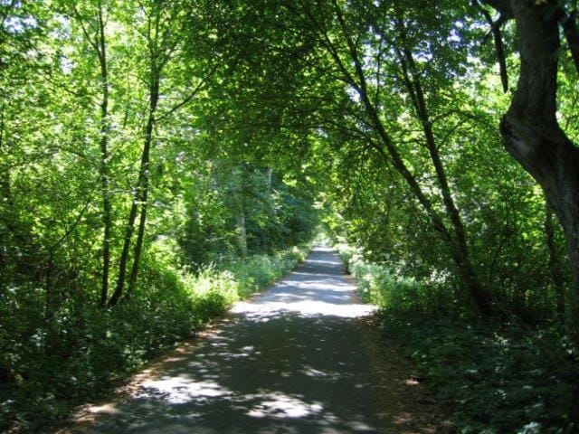 Natural landscape