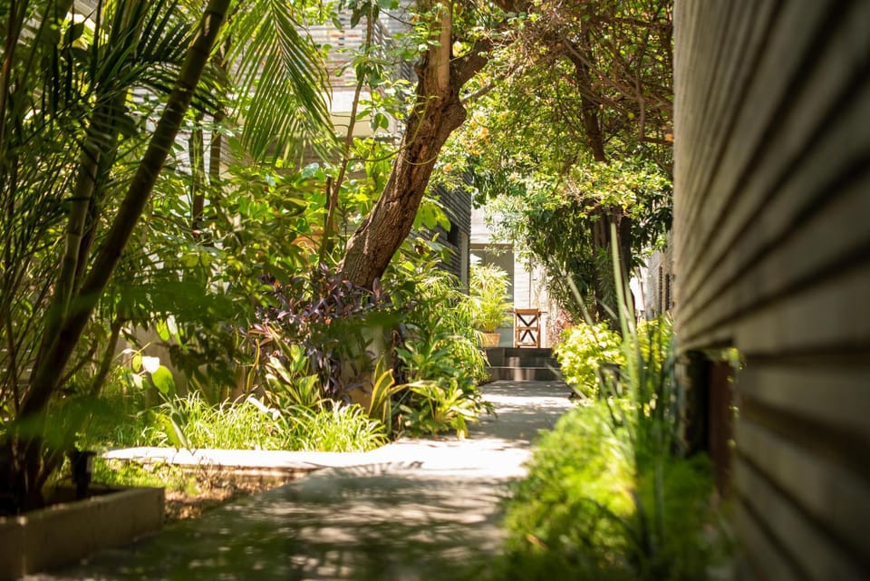 Natural landscape, Garden