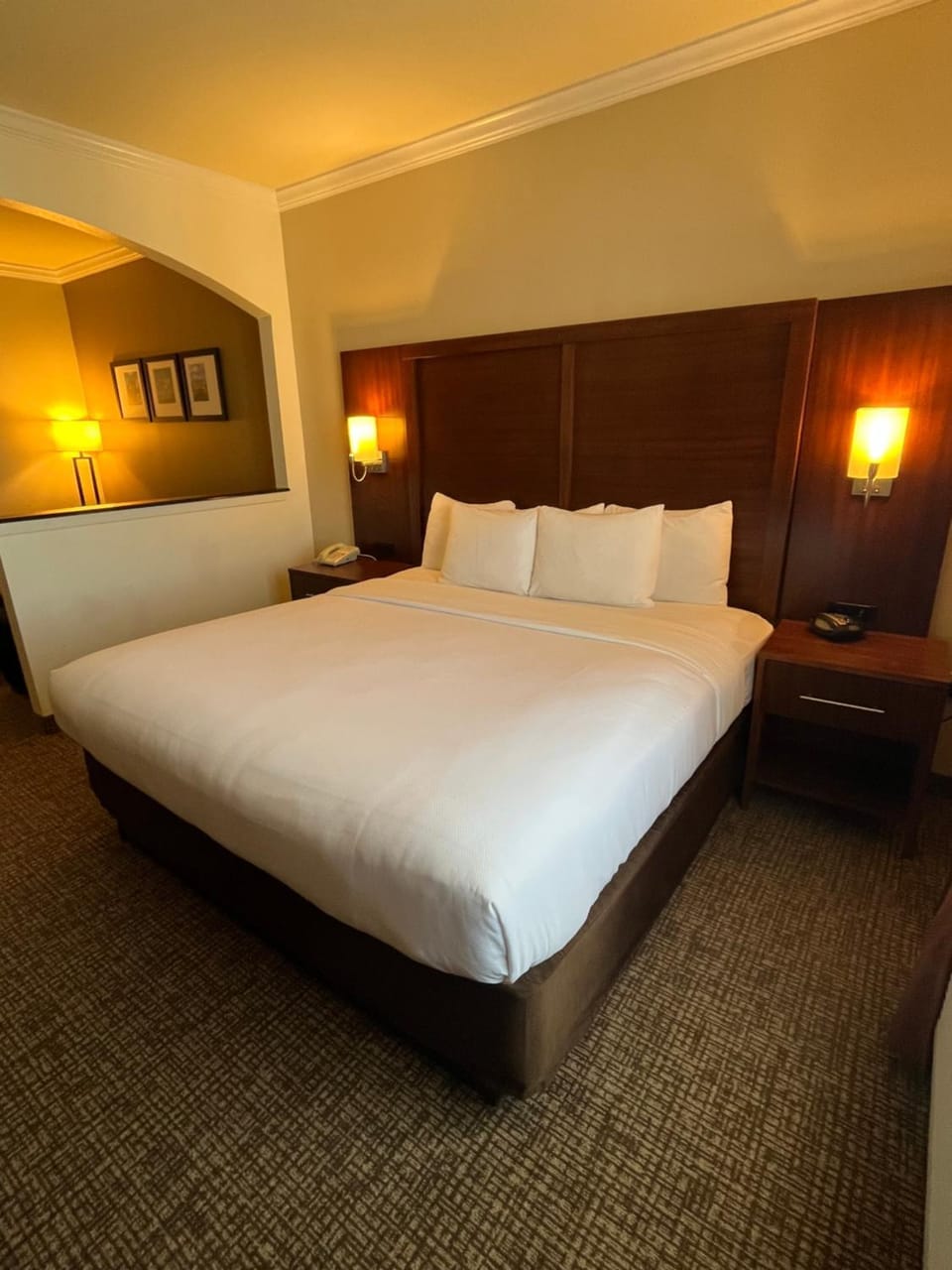 Comfort Suites Texas Ave Hotel in College Station