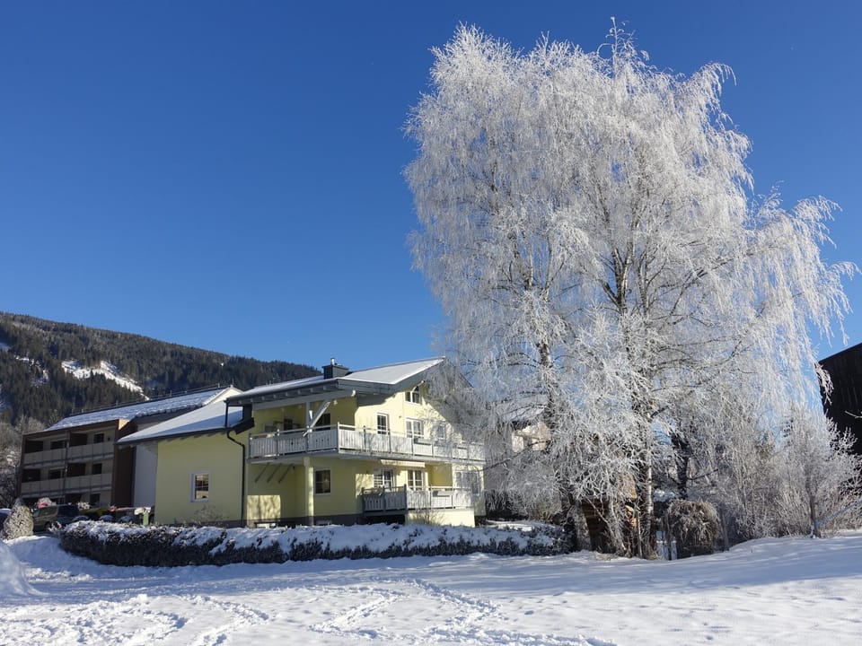 Property building, Winter