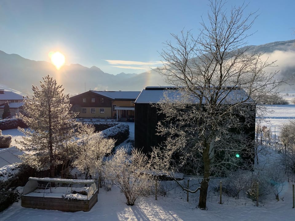 Property building, Winter, Sunrise
