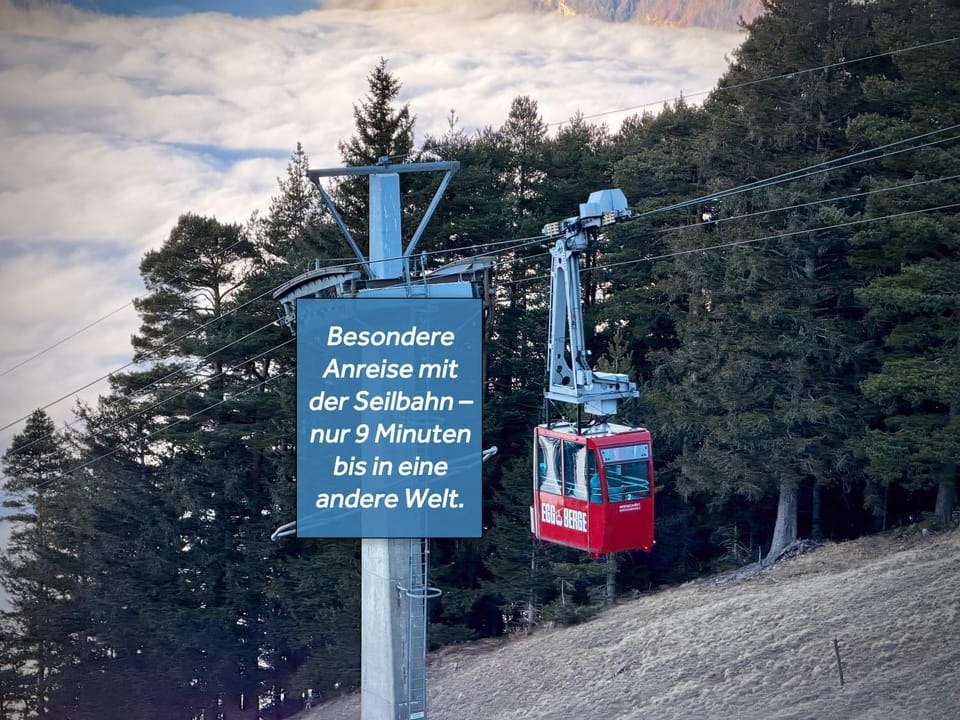 Logo/Certificate/Sign, Logo/Certificate/Sign, Mountain view, acessibility