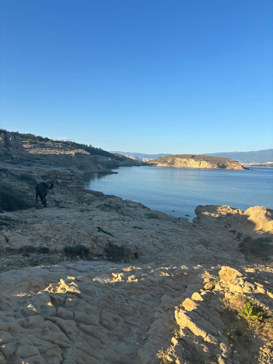 Natural landscape