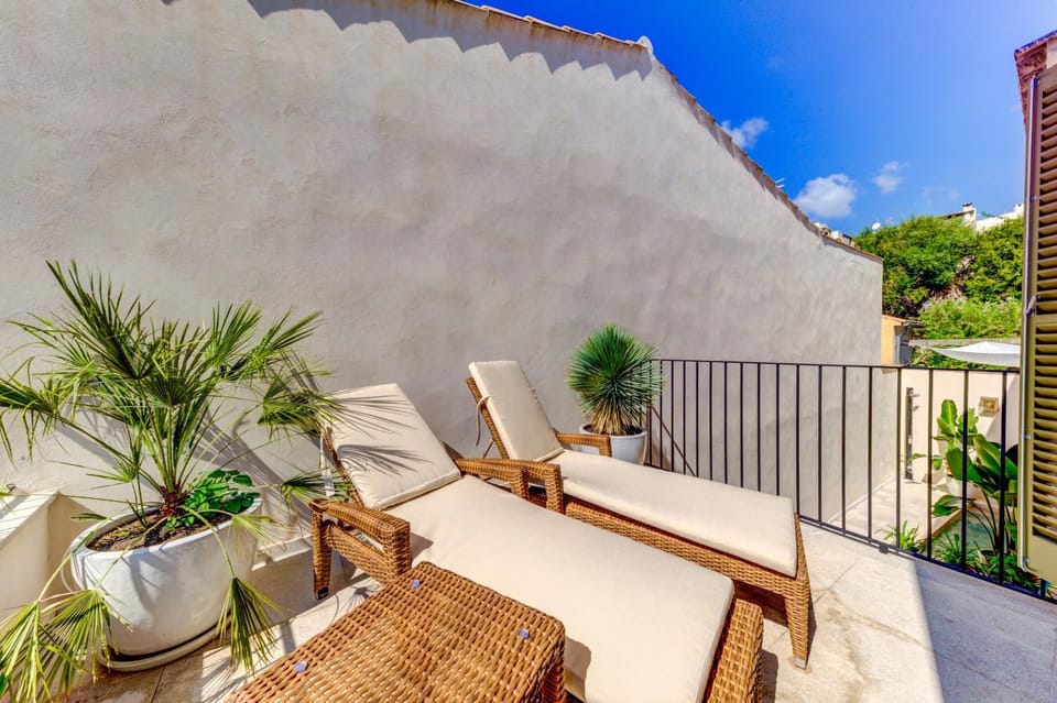 Patio, Balcony/Terrace, sunbed
