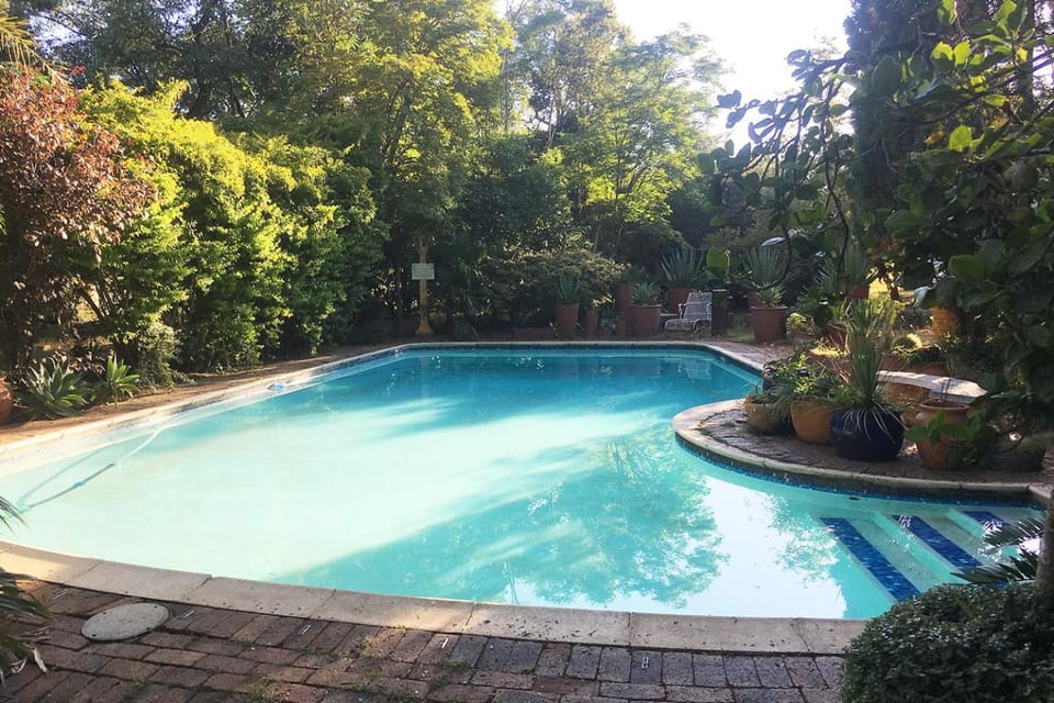 Garden, Pool view, Swimming pool