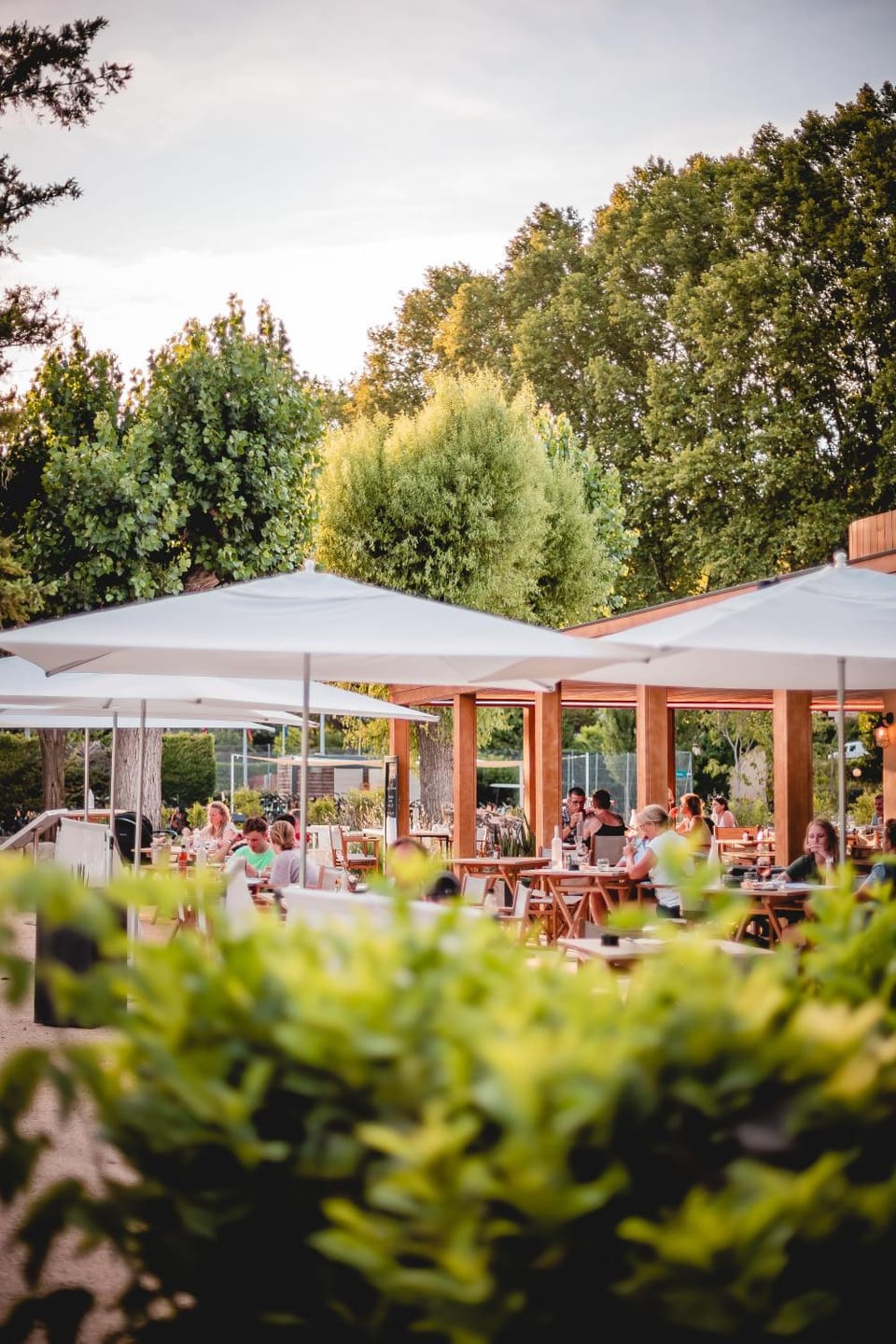 Rives d'Arc Campground/ 
RV Resort in Vallon-Pont-d'Arc