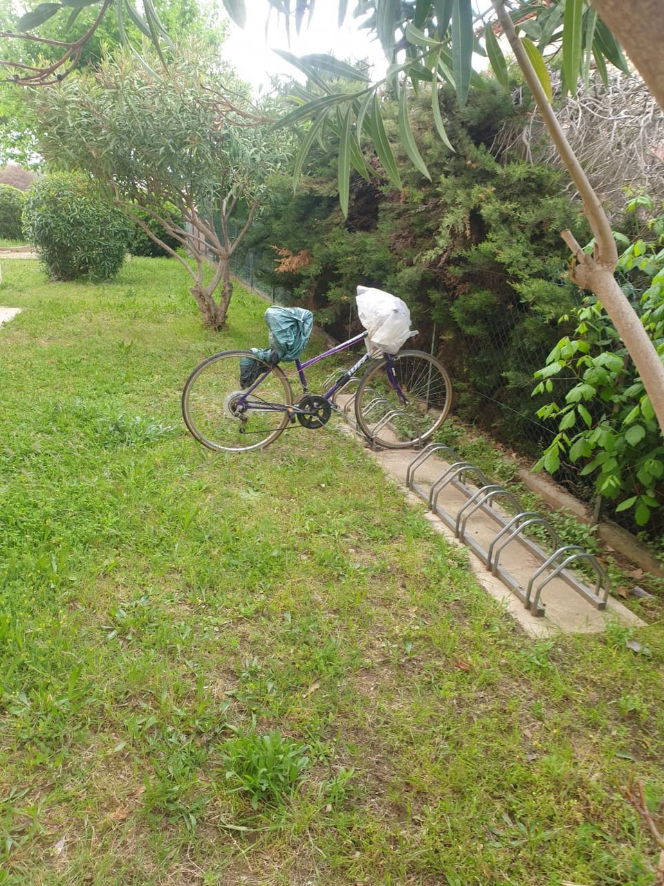 Garden, Parking