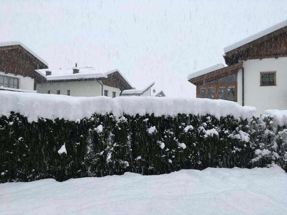 Property building, Day, Winter