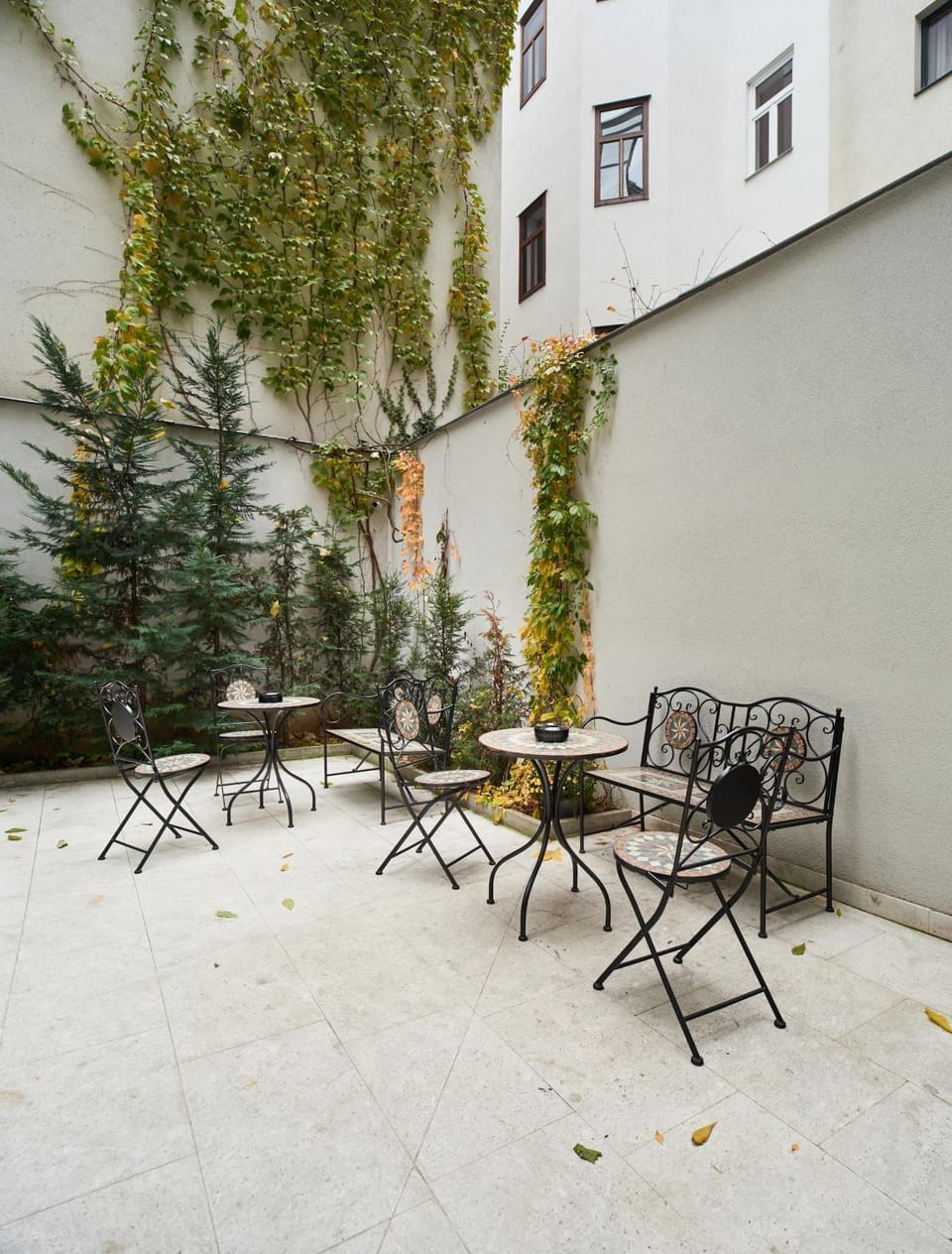 Patio, Day
