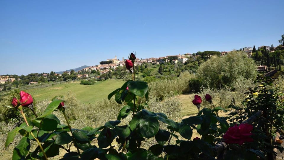 Garden, Garden view