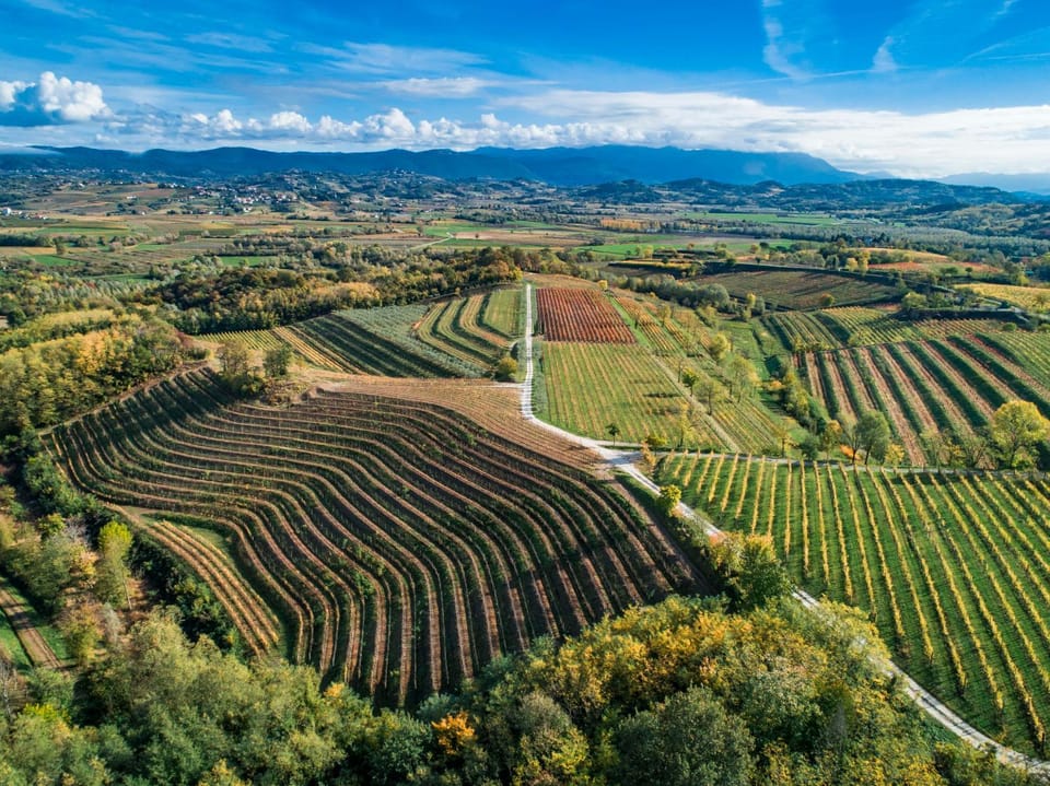 Relais Russiz Superiore Farm Stay in Friuli-Venezia Giulia