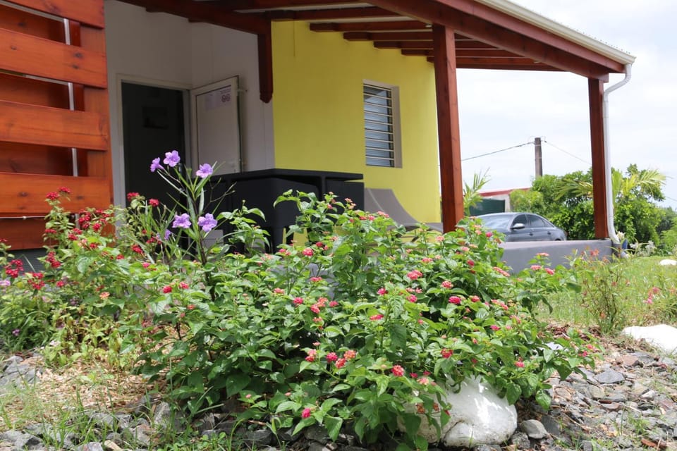 Property building, Patio, Facade/entrance, Garden