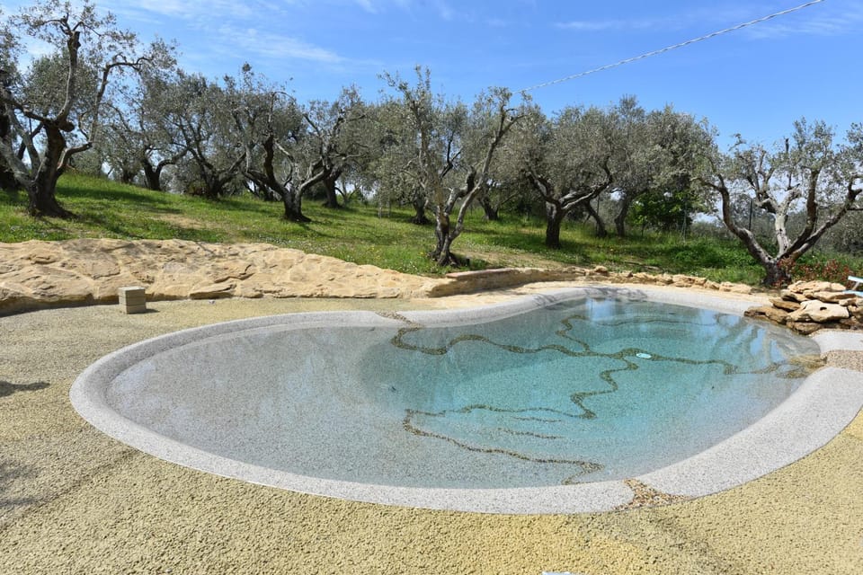 Garden, Swimming pool