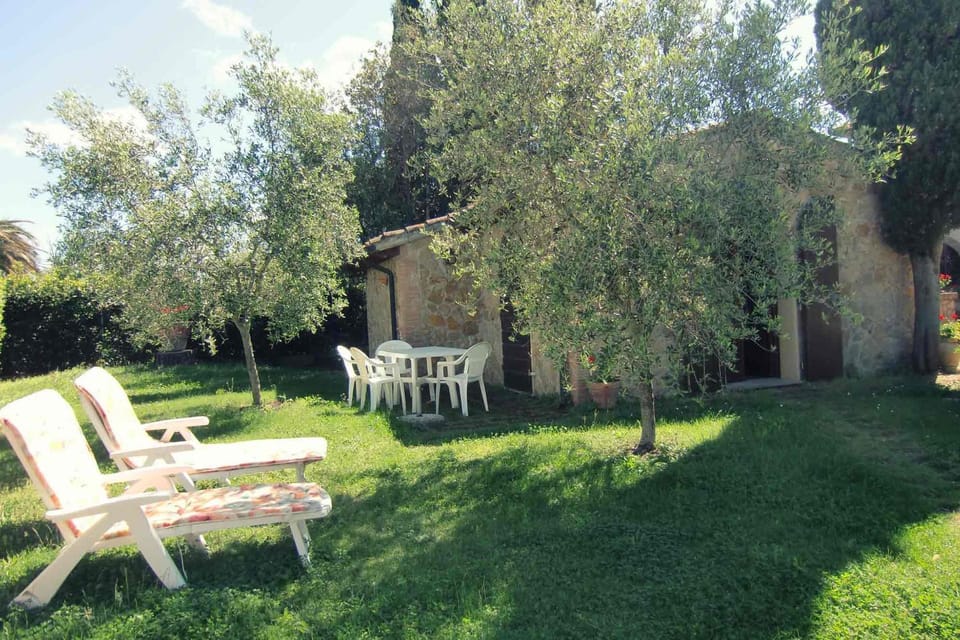 Garden, Garden, Balcony/Terrace, sunbed