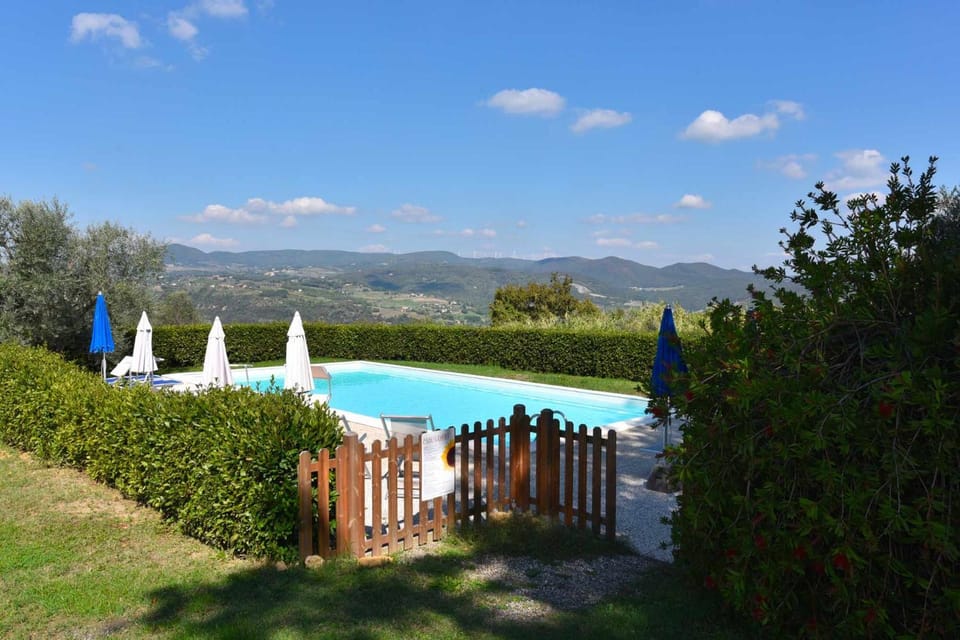 Garden, Pool view, Swimming pool