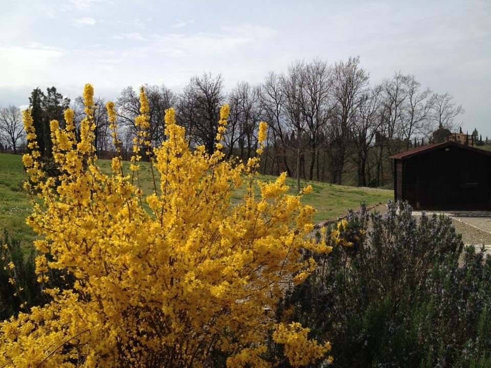 Agriturismo Le Docce Farm Stay in Tuscany