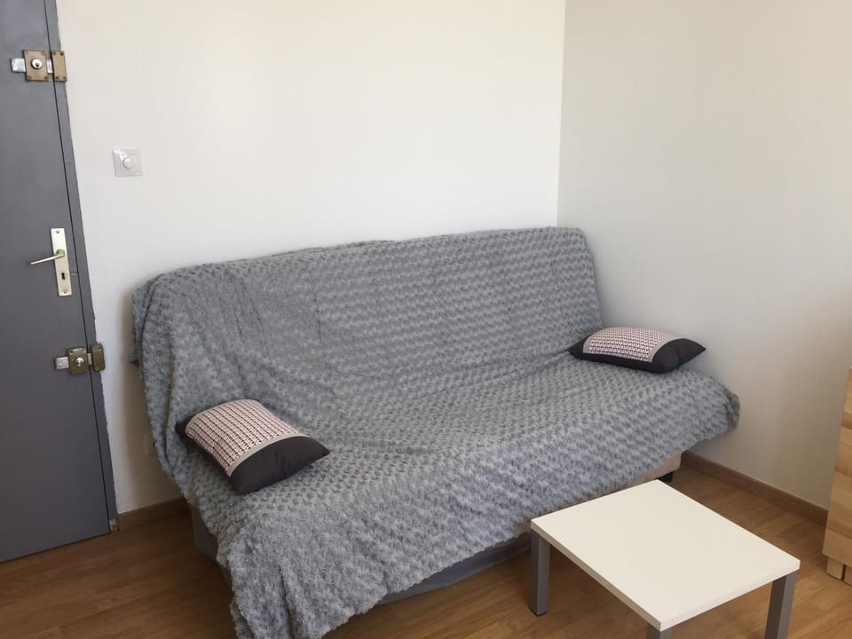 Studio Hypercentre Apartment in Valence