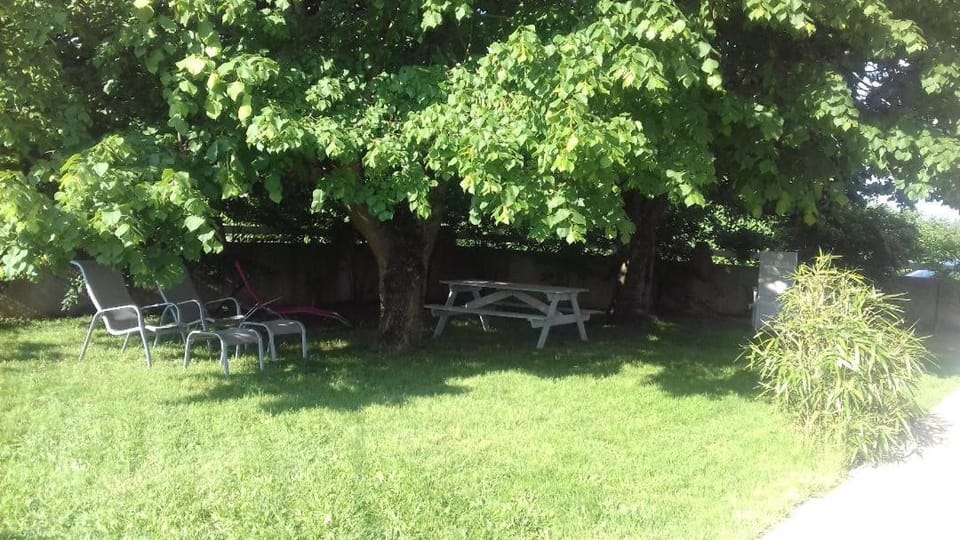 Natural landscape, Garden
