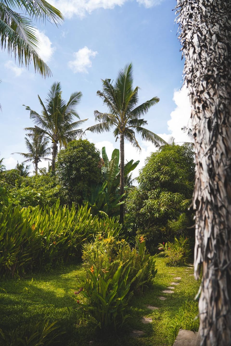 Garden, Garden view