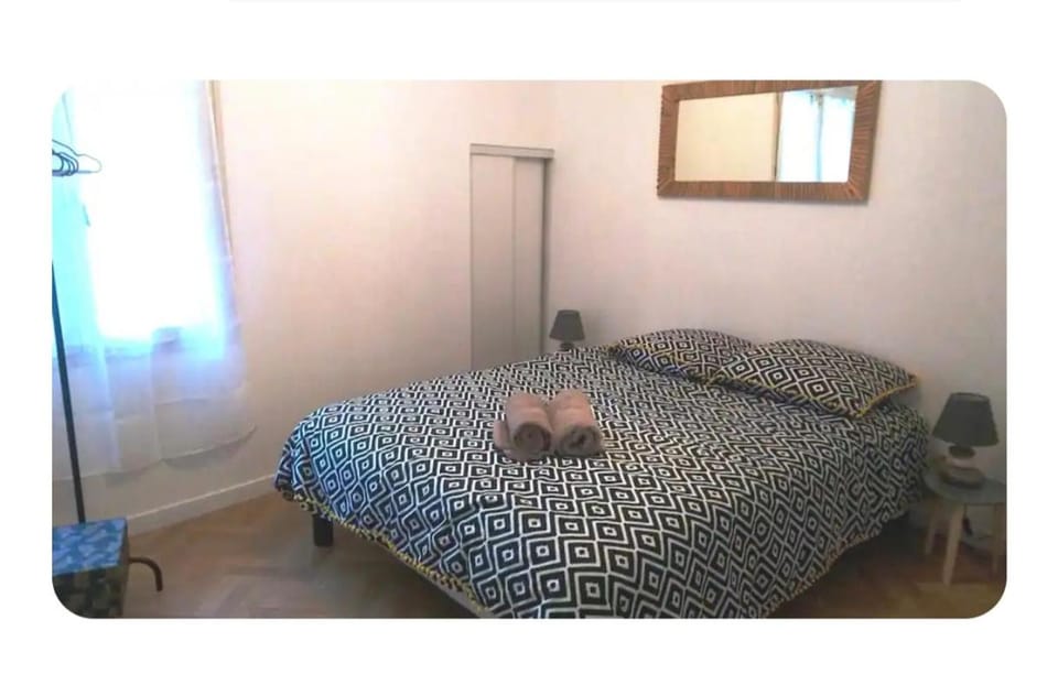 Appartement lumineux 6 pers, 4 min Beauval, centre ville Apartment in Centre-Val de Loire