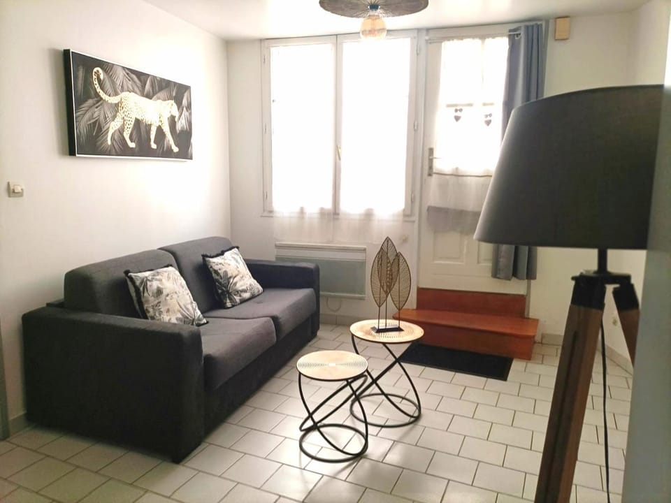 Appartement lumineux 6 pers, 4 min Beauval, centre ville Apartment in Centre-Val de Loire