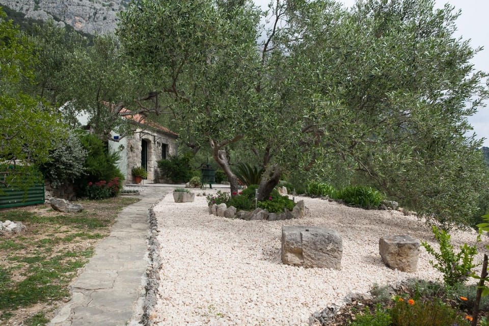 Garden, Swimming pool