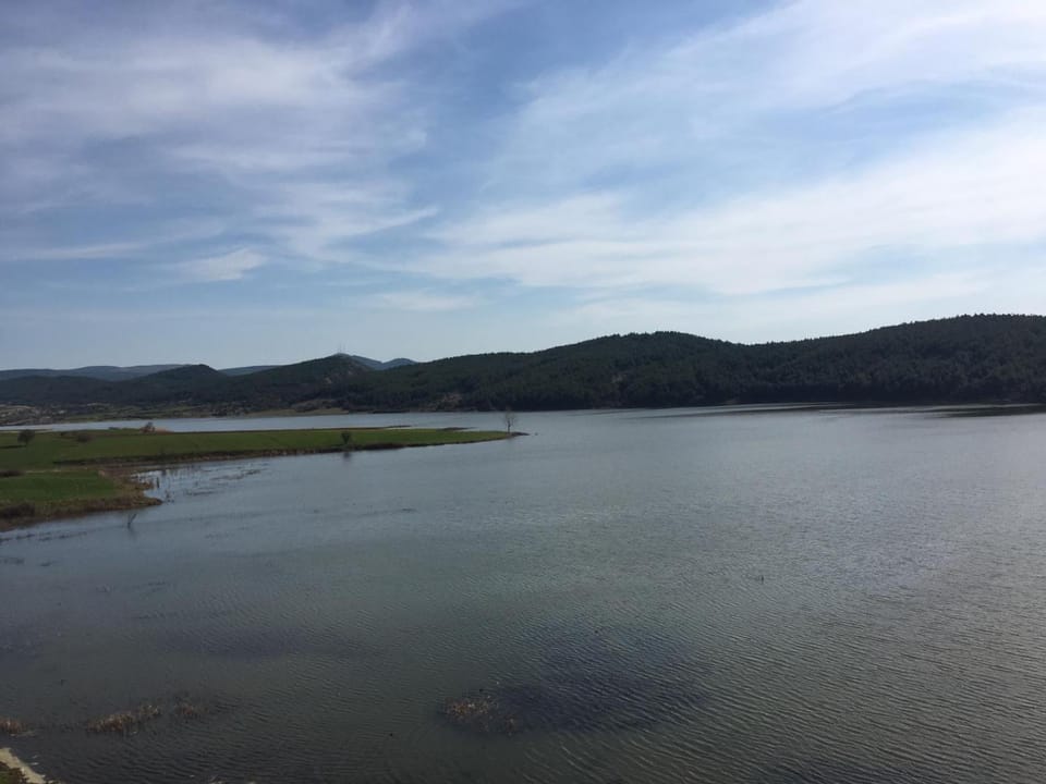Lake view