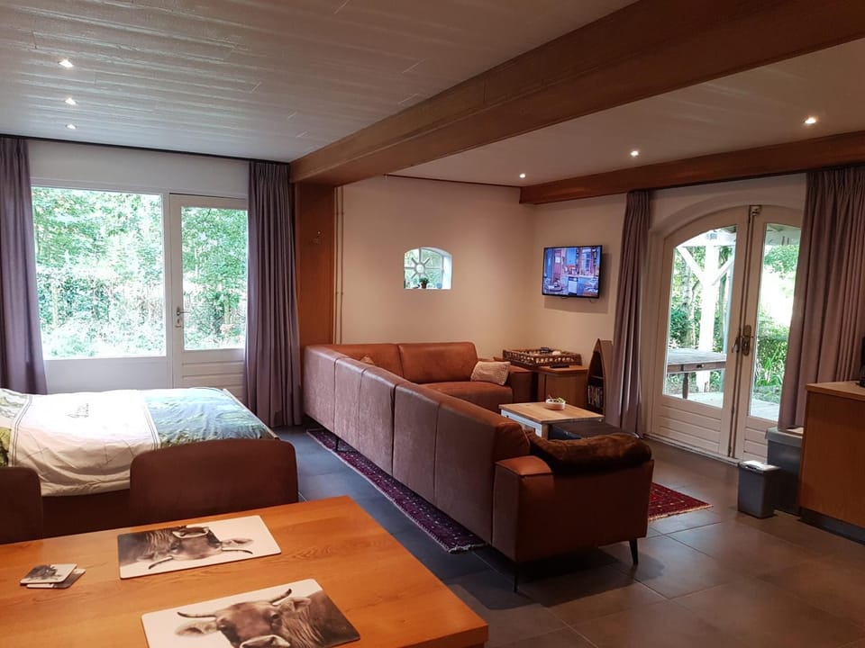 Bed, Living room, Photo of the whole room