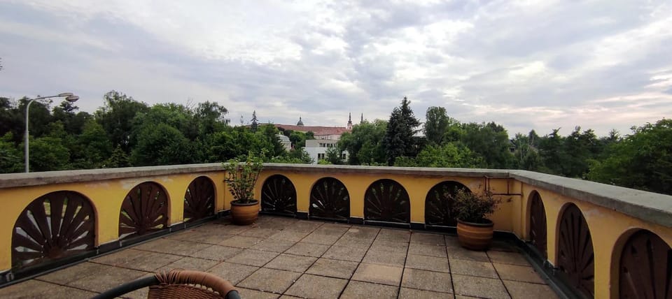Amálie Vila 1921 secesní nostalgie Vacation rental in South Moravian Region
