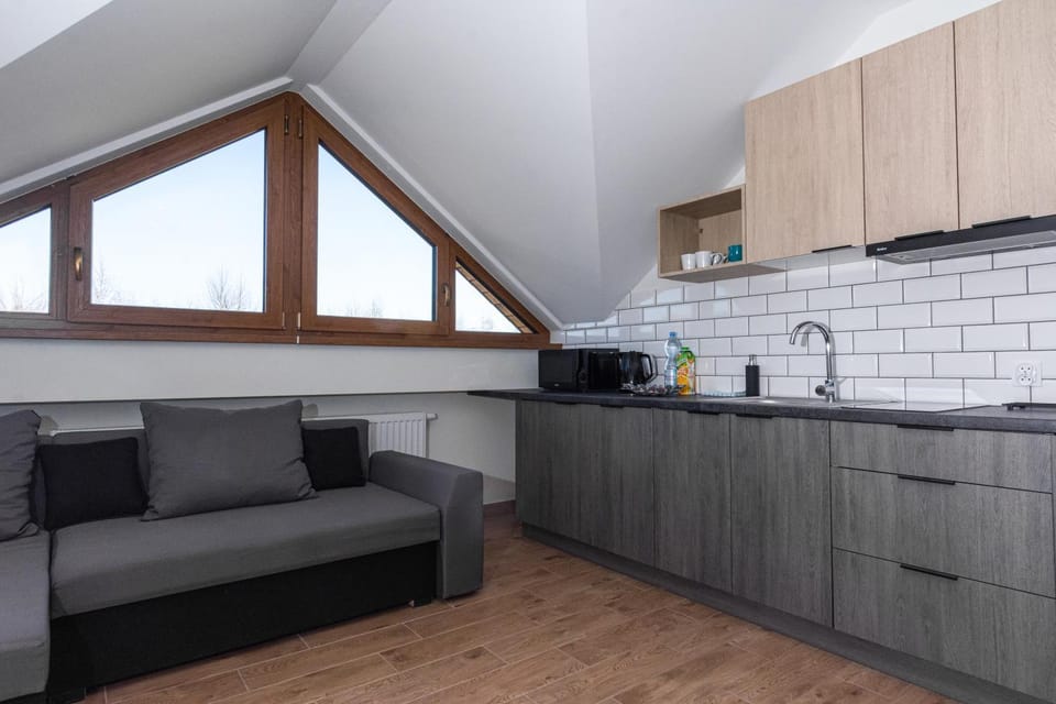 Kitchen or kitchenette, minibar