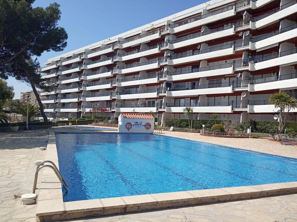 Garden, Swimming pool