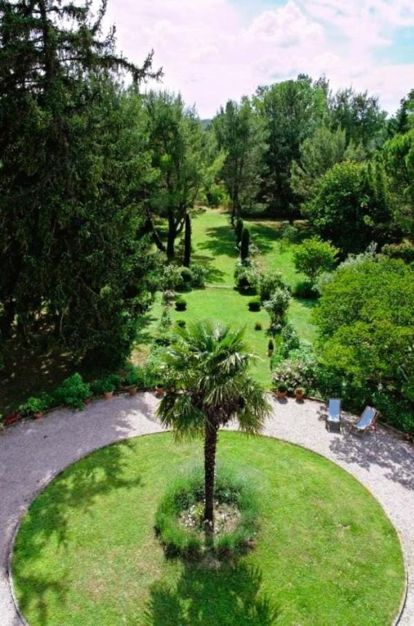 Spring, Day, Natural landscape, Garden, Garden view