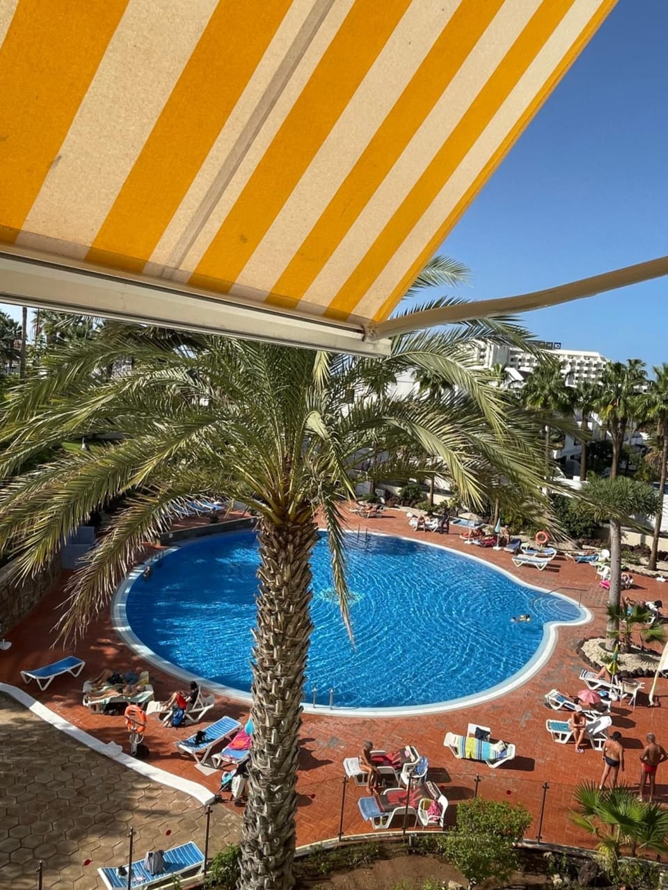 Apartment El Dorado, Las Americas Apartment in Playa de las Americas