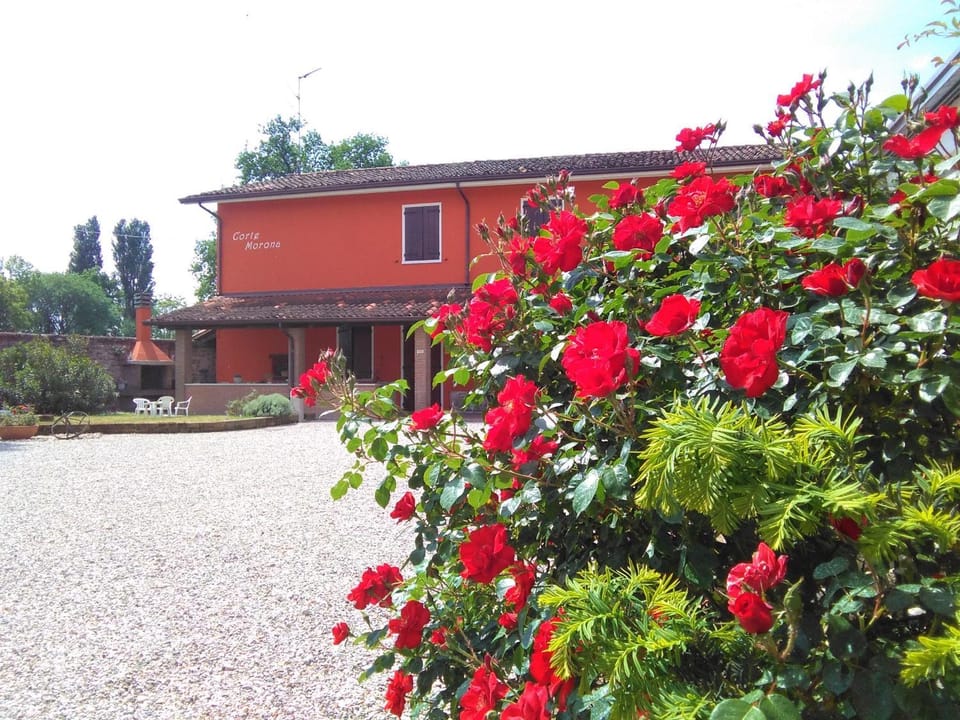 Property building, Facade/entrance, Garden