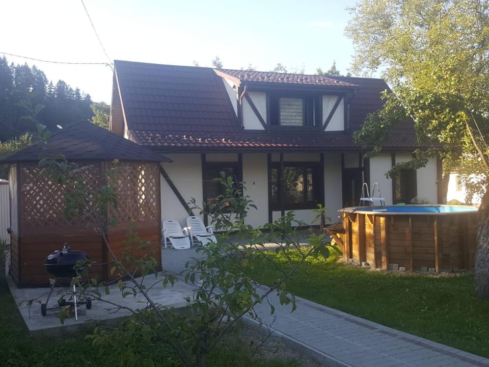 У Насті House in Ukraine