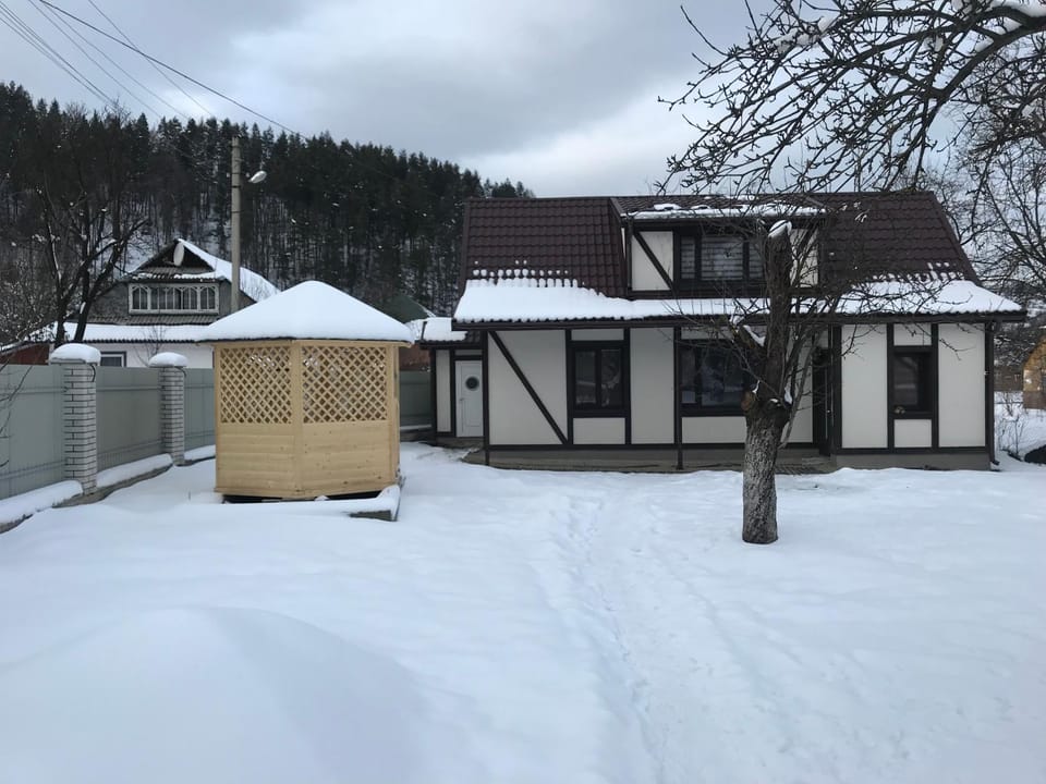 У Насті House in Ukraine
