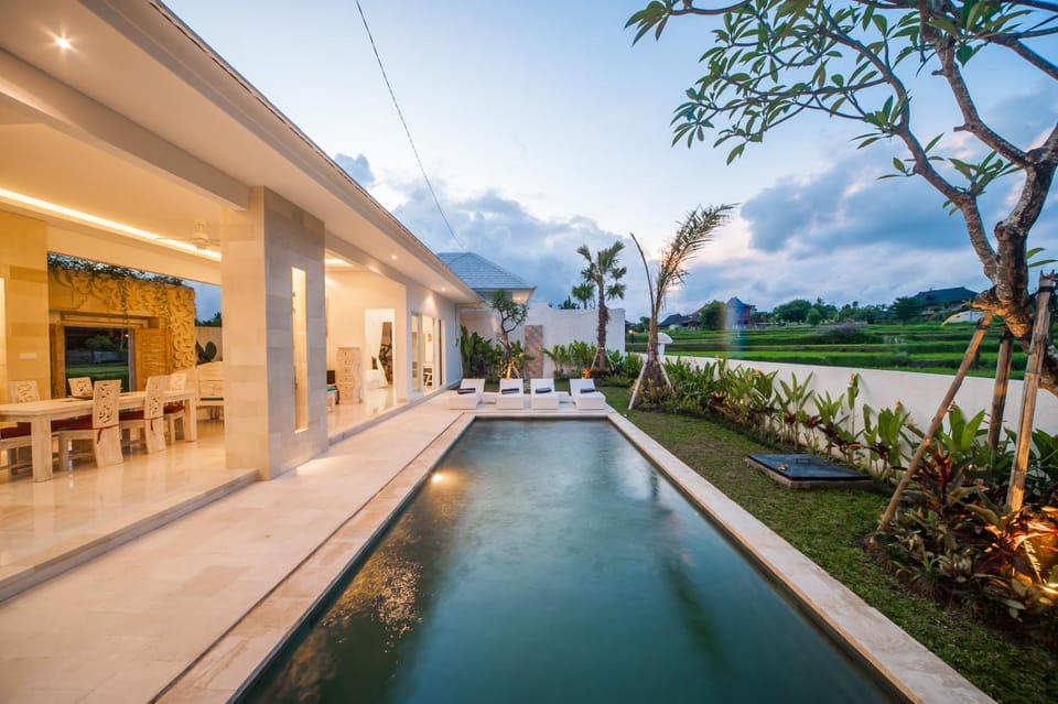 Day, Natural landscape, Garden, Swimming pool